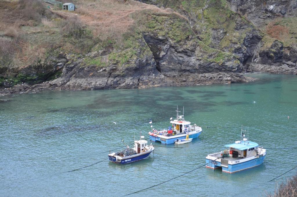 The Gallery Port Isaac Zewnętrze zdjęcie